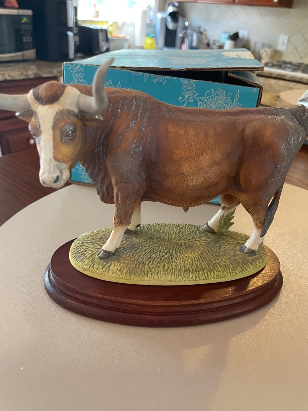 Longhorn by Andrea Sadek
